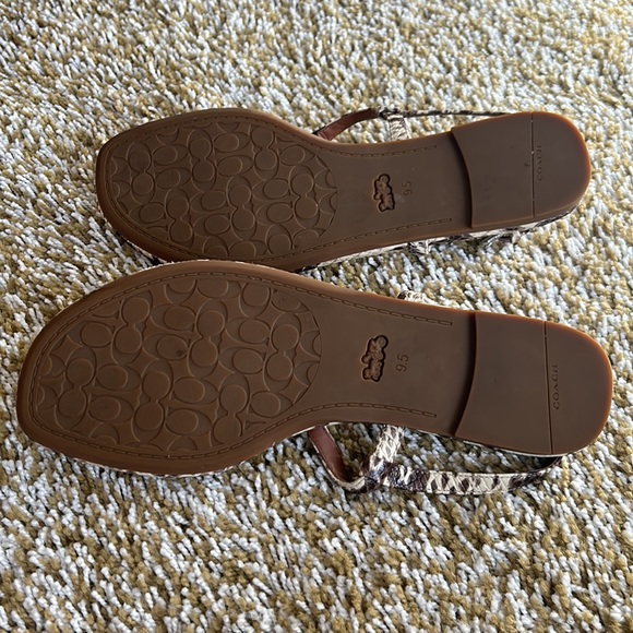 Coach - Picture 4 of 5